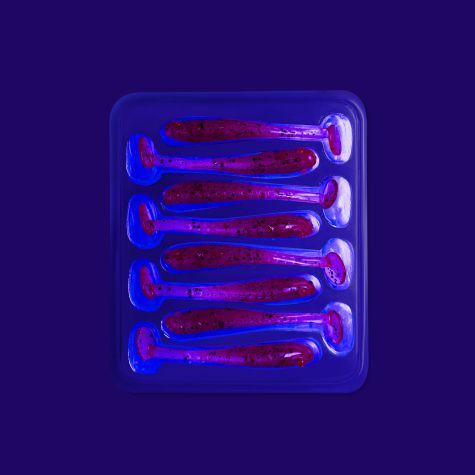 Nano minnow 1.6" 6-40-12-6