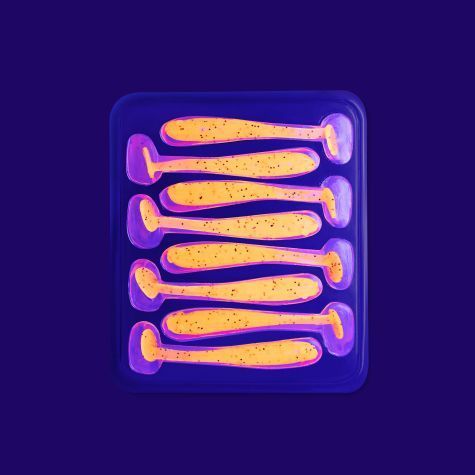 Nano minnow 1.6" 6-40-18-6