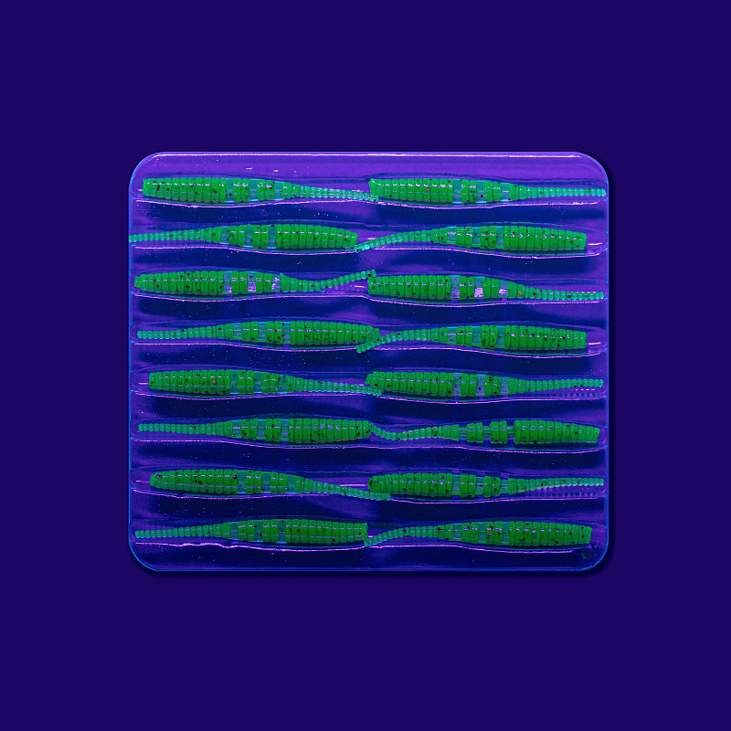 силиконовые приманки Polaris 1.2" 61-30-10-6