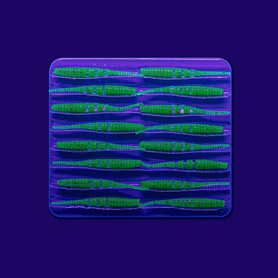 силиконовые приманки Polaris 1.2" 61-30-10-6