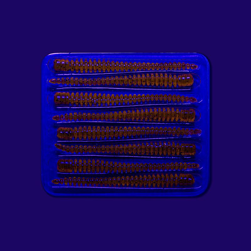 силиконовые приманки Cruel leech 2.2" 8-55-17-6