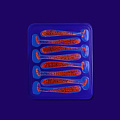 силиконовые приманки Nano minnow 1.6" 6-40-9-6