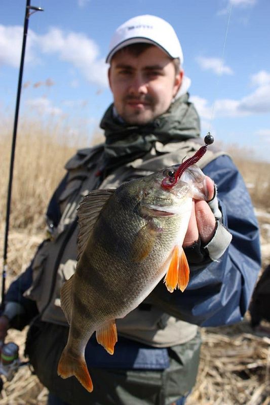 силиконовые приманки Active slug 3" 30-70-12-6