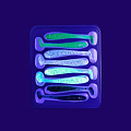 силиконовые приманки Nano minnow 1.6" 6-40-M17-6