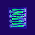 силиконовые приманки Nano minnow 1.6" 6-40-20-6