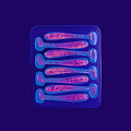 силиконовые приманки Nano minnow 1.6" 6-40-13-6