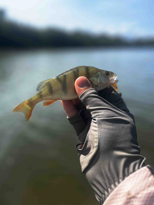 Перчатки CF Simple green для рыбака и рыбалки