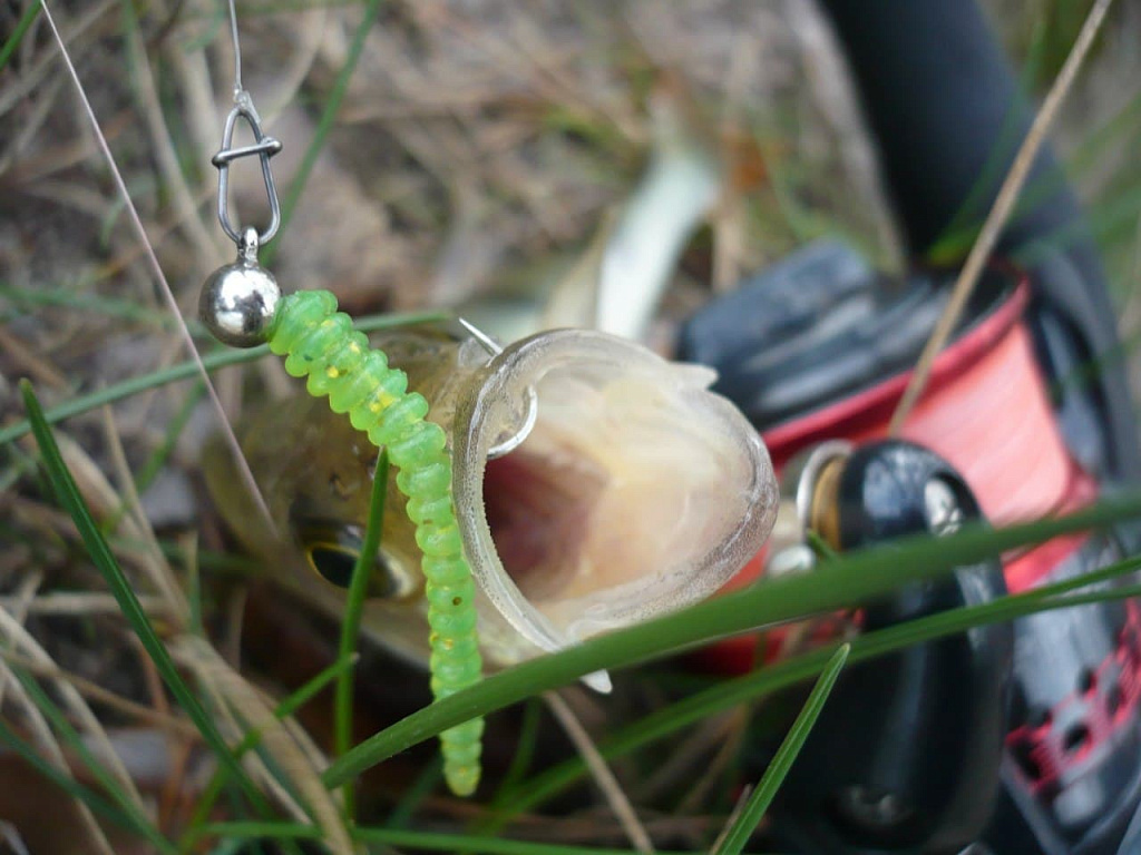 силиконовые приманки Cruel leech 2.2" 8-55-20-6