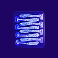 силиконовые приманки Nano minnow 1.6" 6-40-40-6