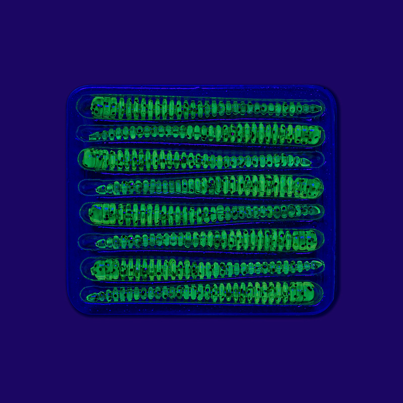 силиконовые приманки Cruel leech 2.2" 8-55-22-6