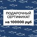 Подарочный сертификат на 100000 руб.