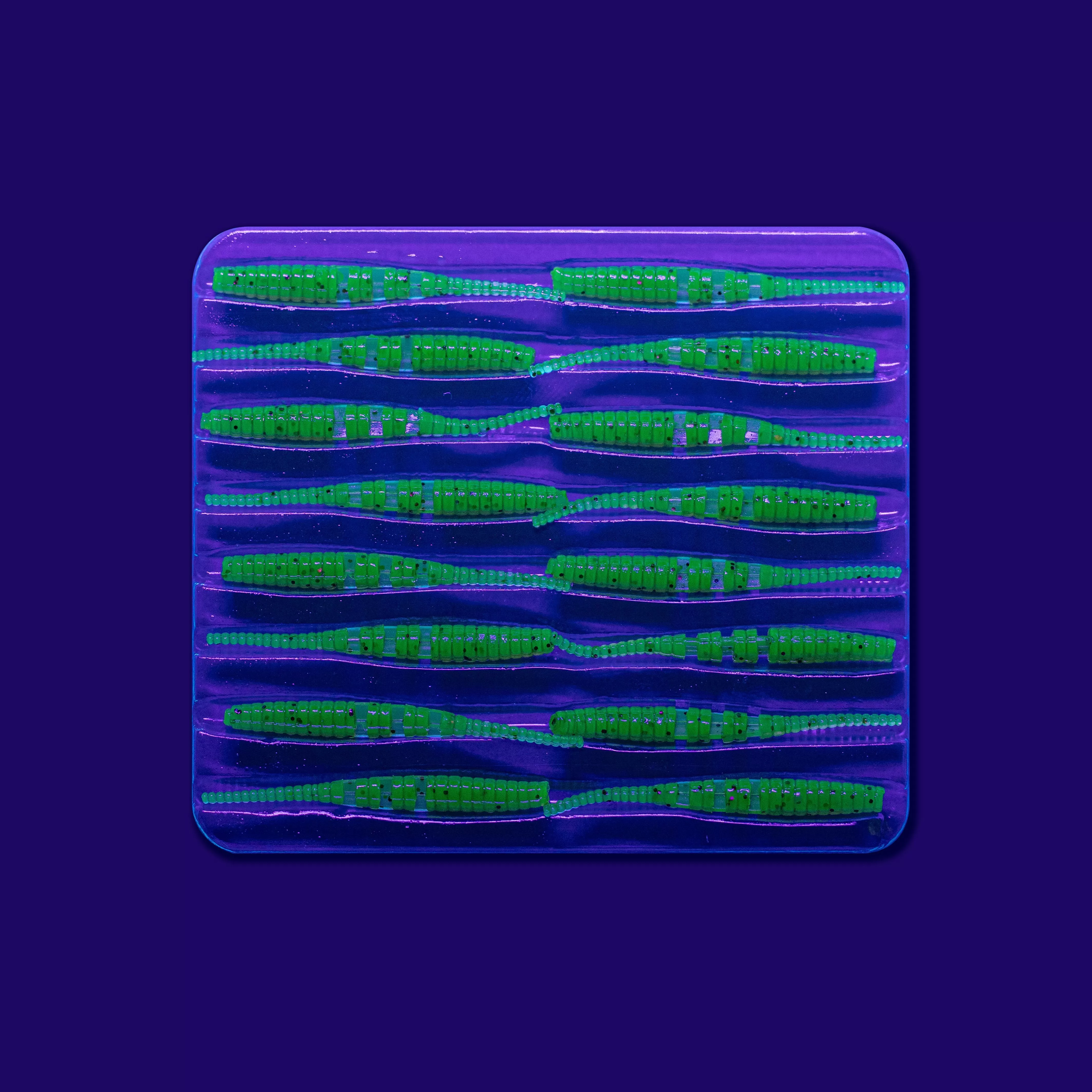 Polaris 1.2" 61-30-10-6