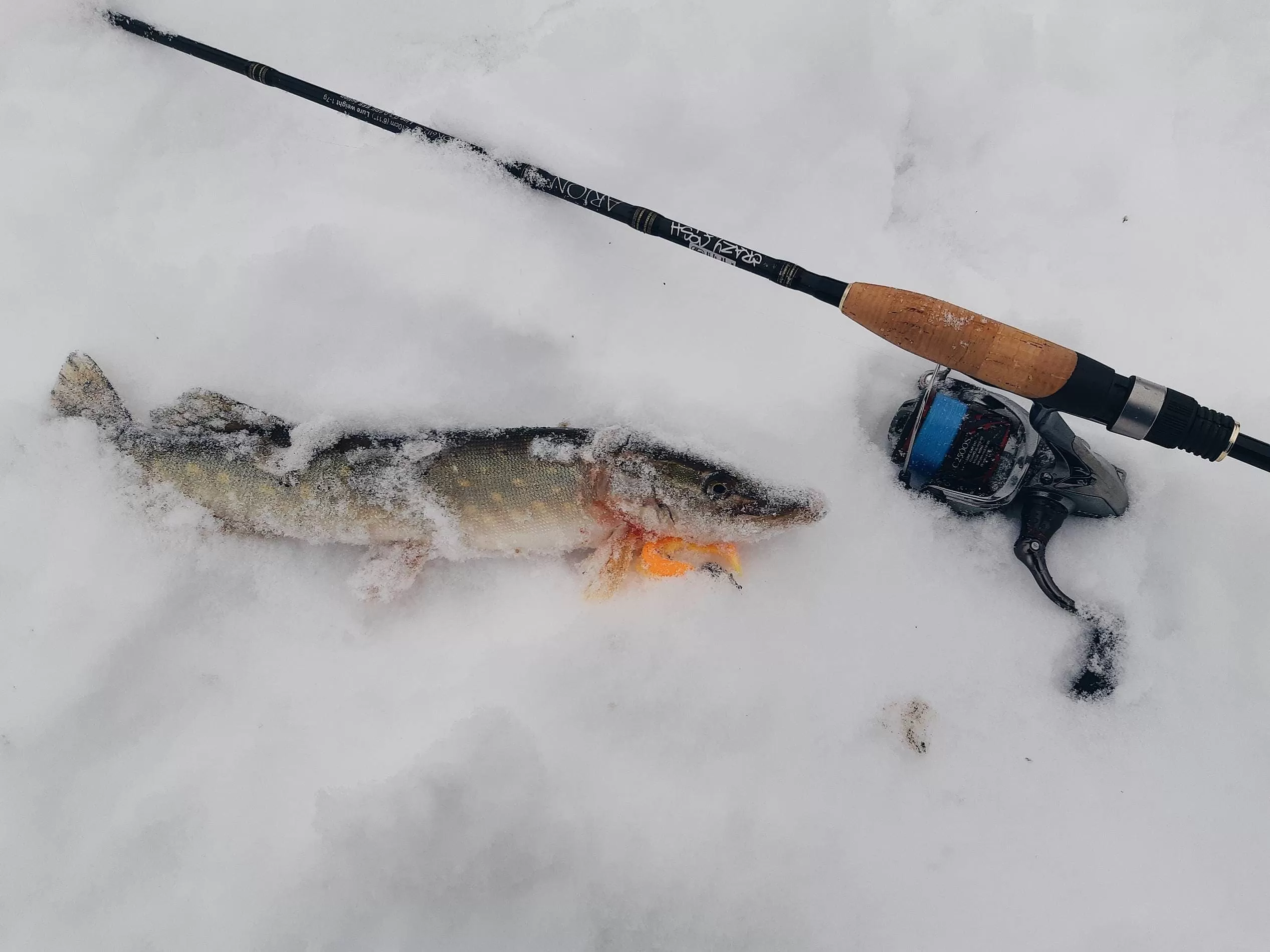 Canne à Filer Crazy Fish Arion ASR902MT (7-28g, 274 Cm) - Action Medium - Neuf - Pêche Freshwater
