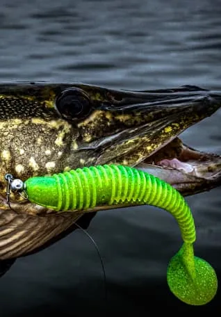 Cиликоновые приманки