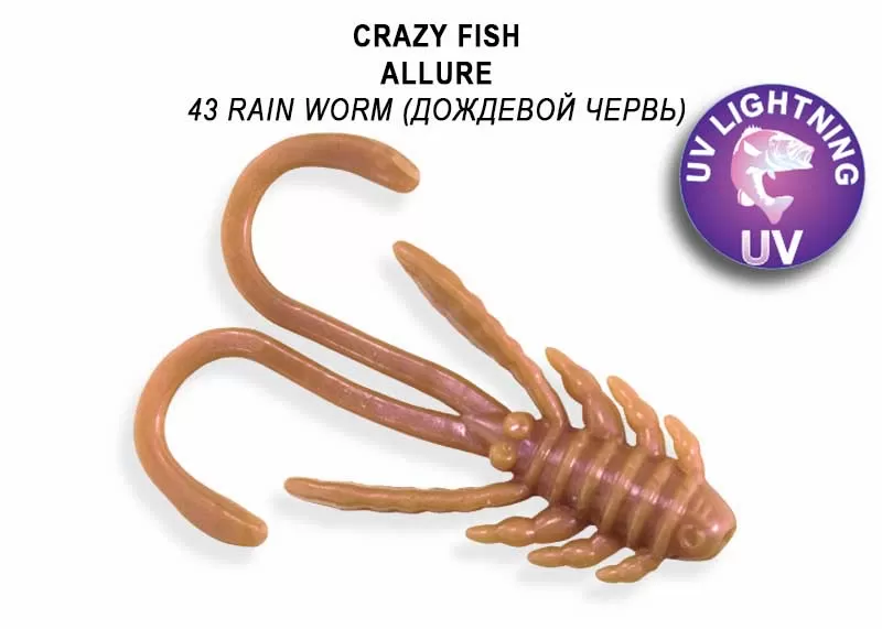 Allure 1.6" 23-40-43-6