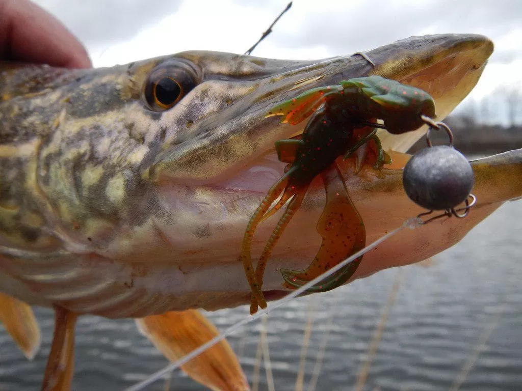 силиконовые приманки Nimble 4" 43-100-8d-6