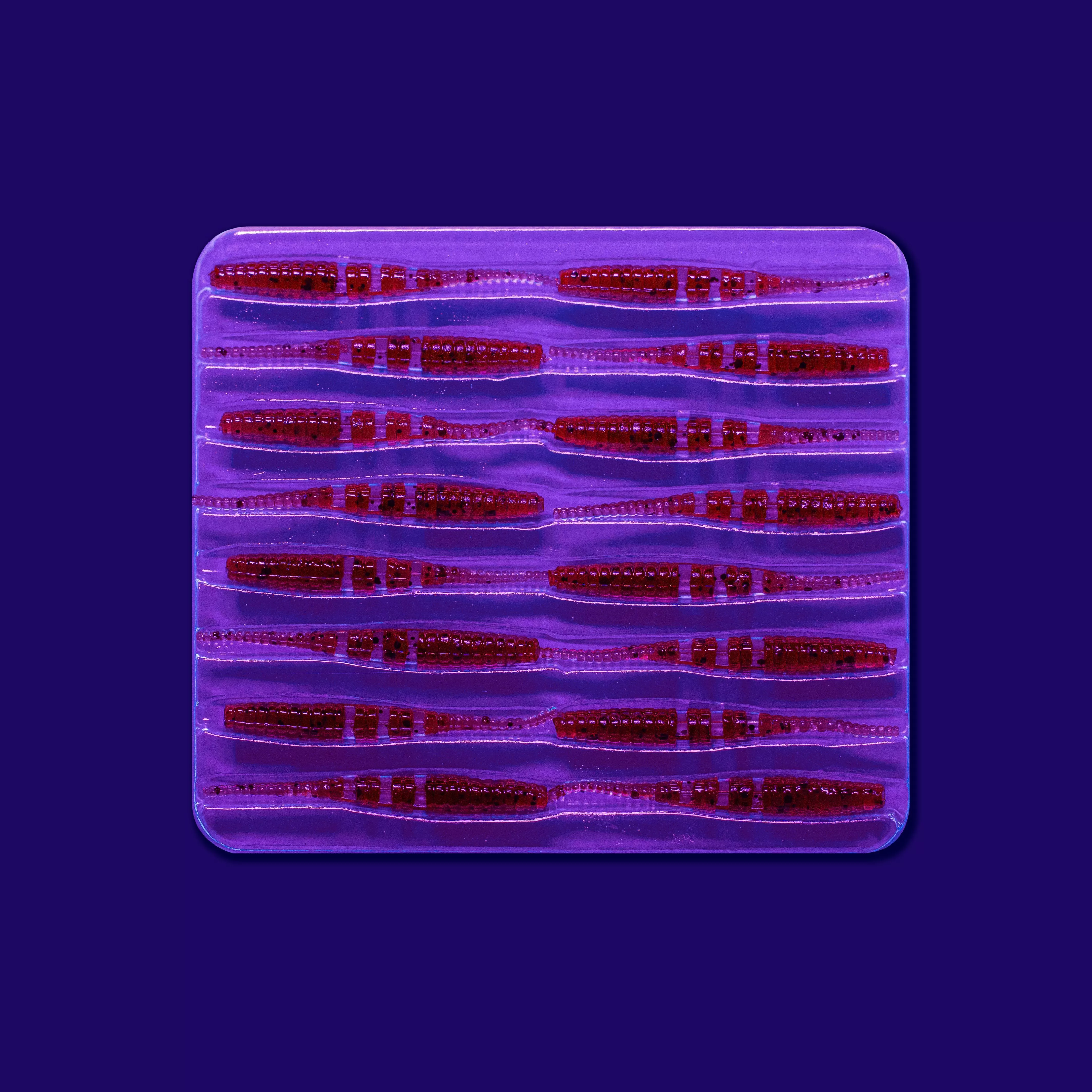 Polaris 1.2" 61-30-26-6