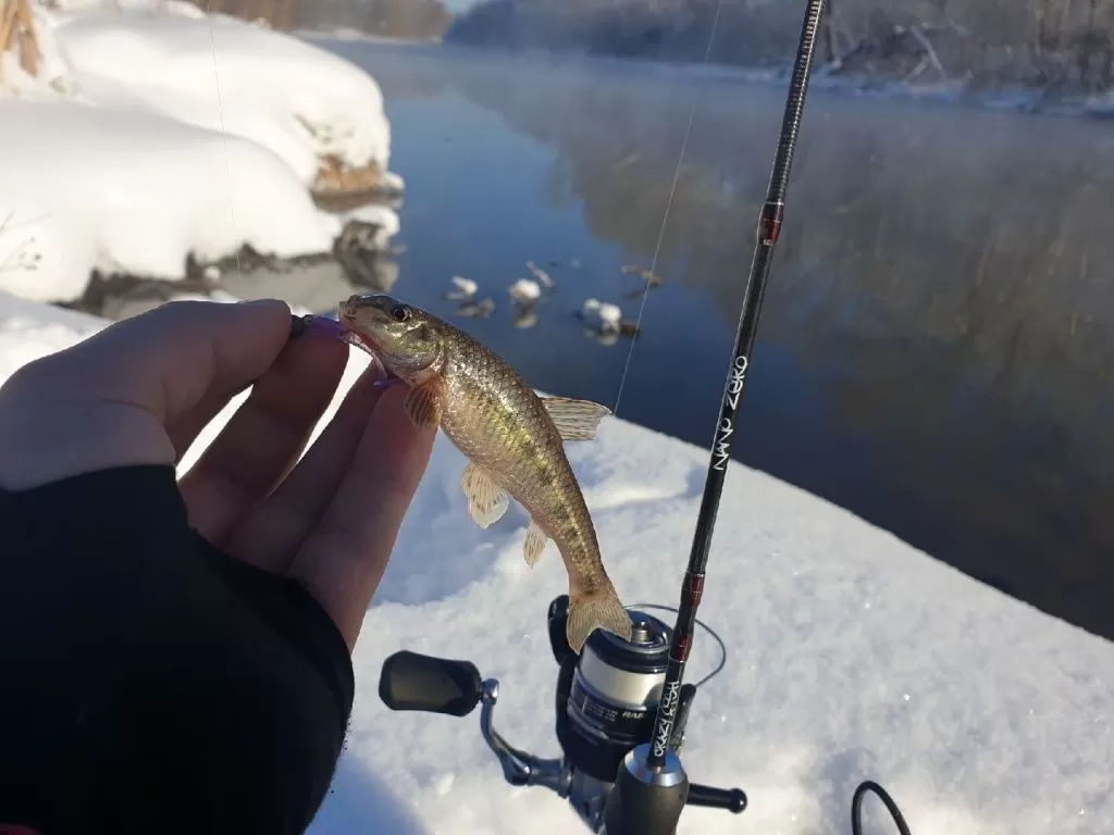 Storm Tock Minnow 100 mm. esca artificiale da pesca Colore DAPE_Storm Storm Tock Minnow 100 mm. esca artificiale da pesca Colore DAPE_Storm